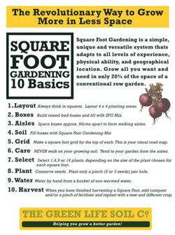 Sustainable Gardening Tips