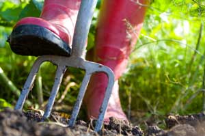 Organic Gardening Fact Sheets